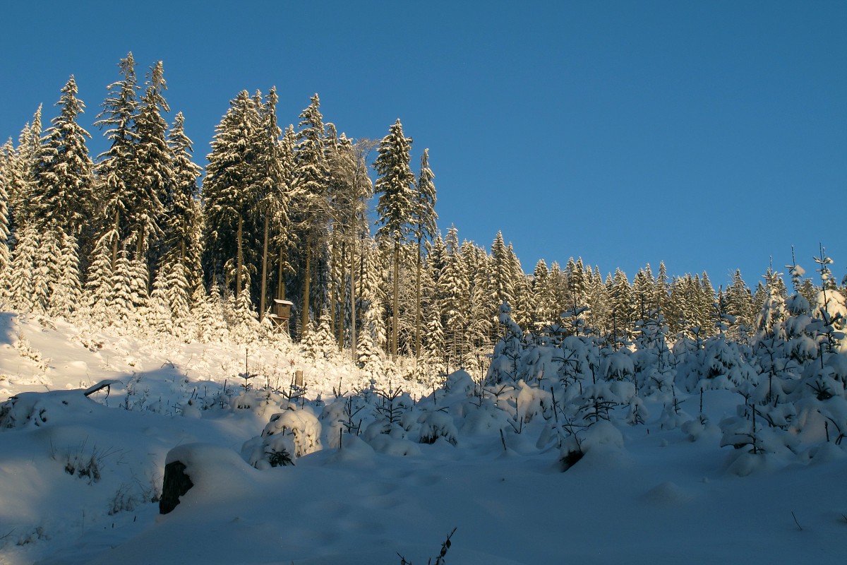 img00003.jpg
