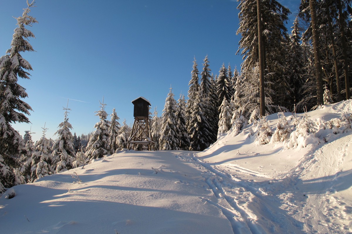 img00006.jpg