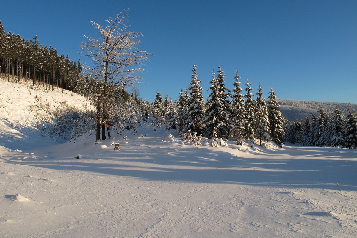 img00007.jpg