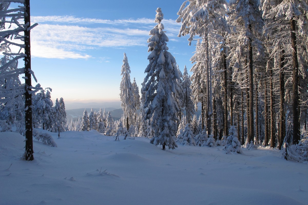 img00010.jpg
