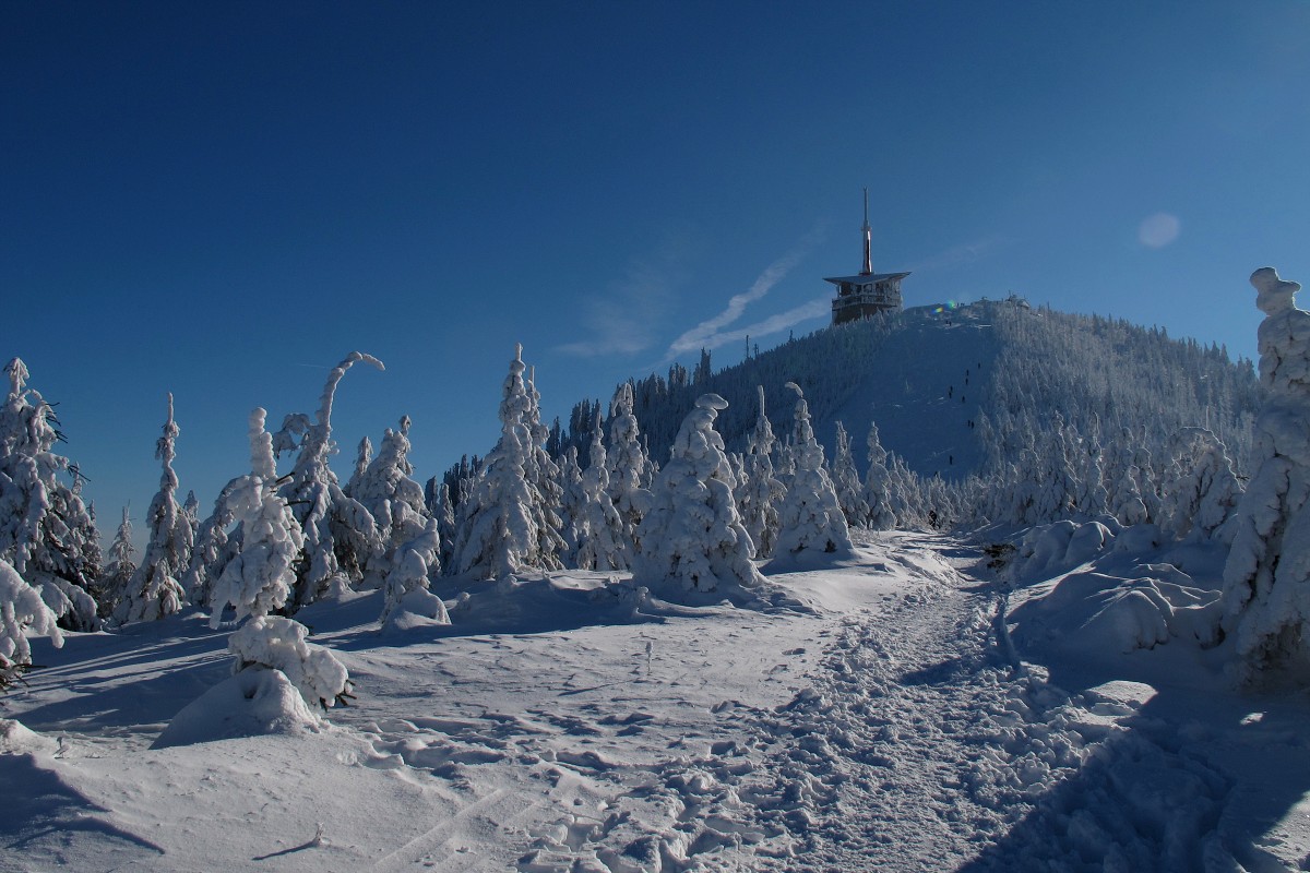 img00026.jpg