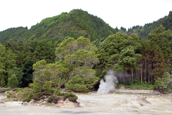 img00025.jpg