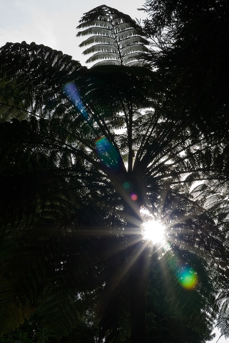 img00029.jpg
