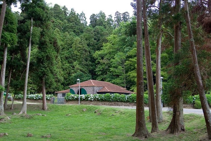 img00031.jpg