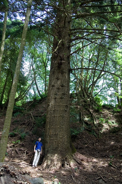 img00032.jpg