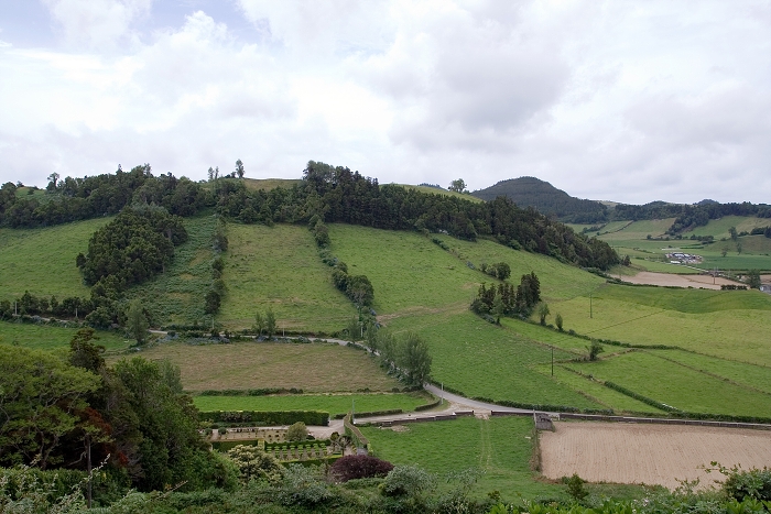 img00037.jpg