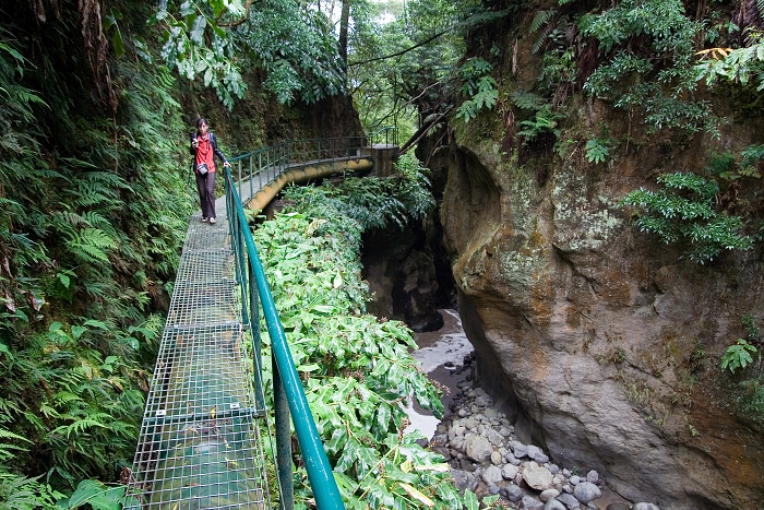 img00143.jpg