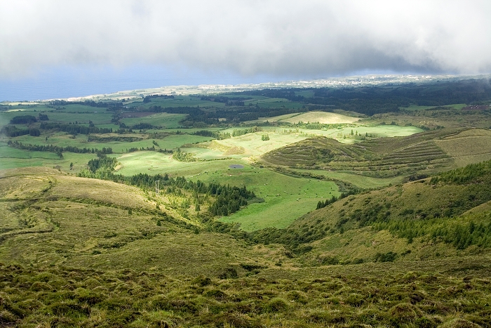 img00170.jpg