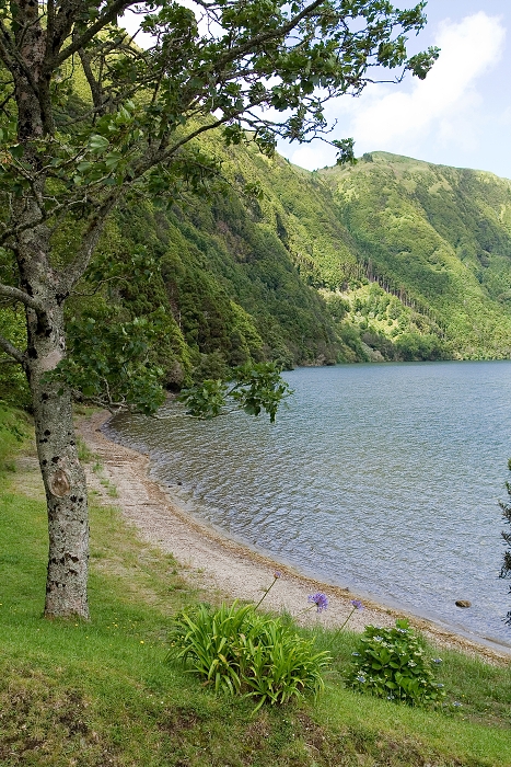img00185.jpg