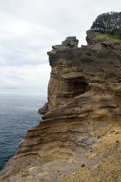 img00201.jpg