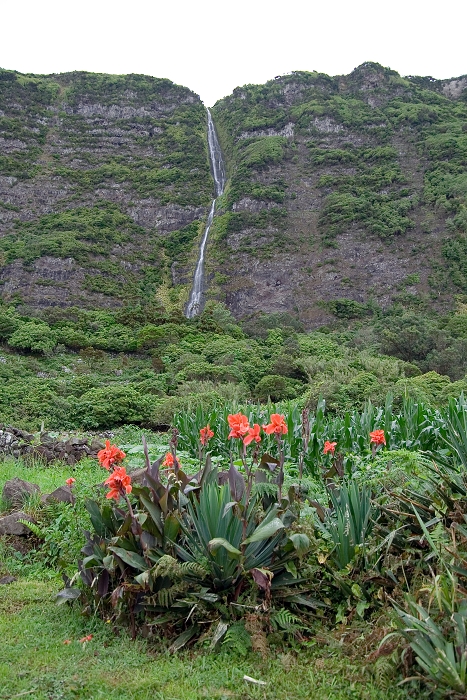 img00215.jpg