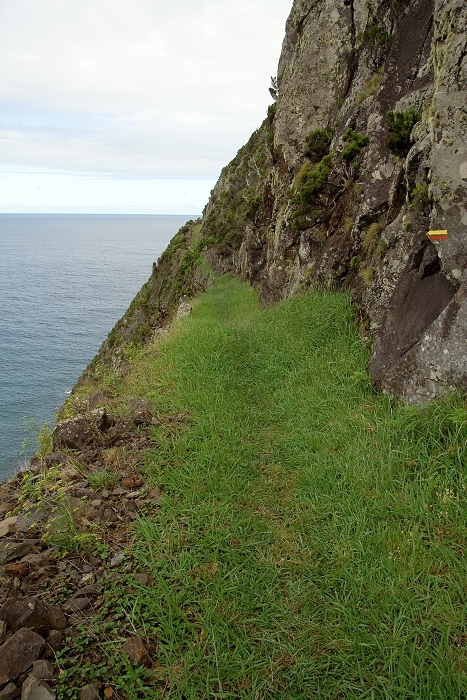 img00217.jpg