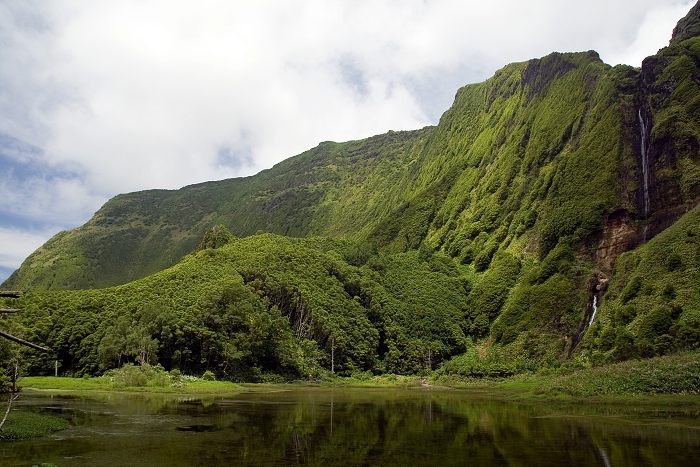 img00269.jpg