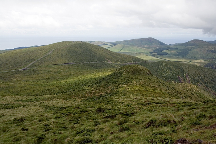 img00275.jpg