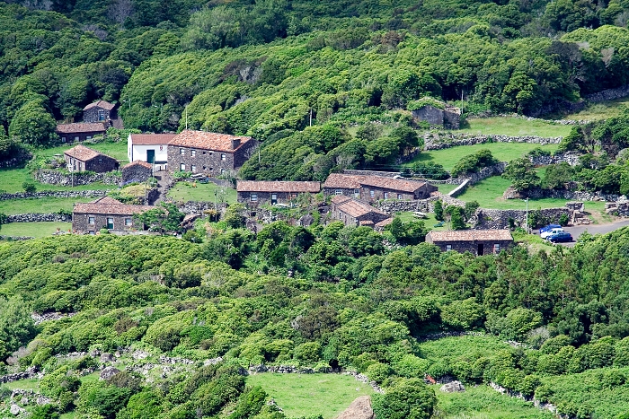 img00290.jpg