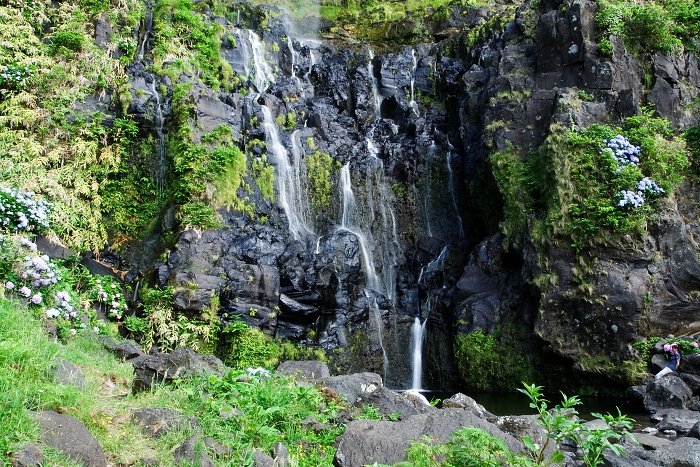 img00299.jpg
