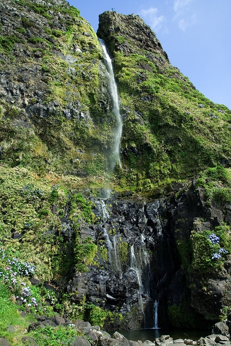 img00300.jpg