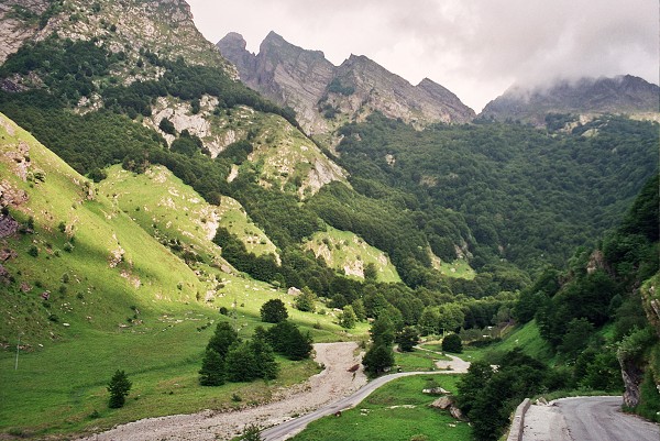 img00007.jpg