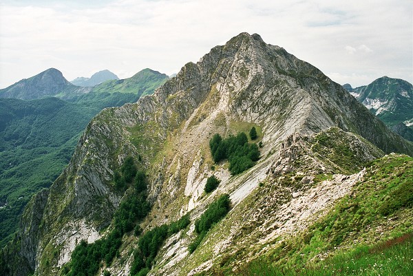 img00027.jpg