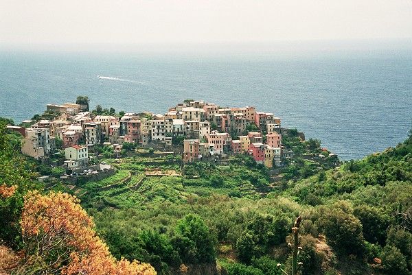 img00044.jpg