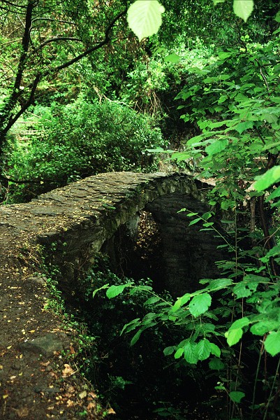 img00048.jpg