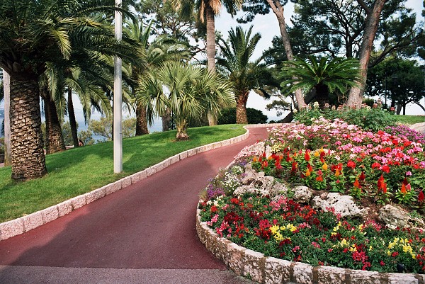 img00079.jpg