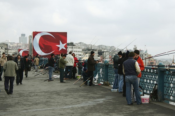 img00018.jpg