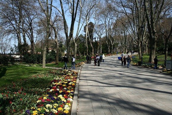 img00027.jpg
