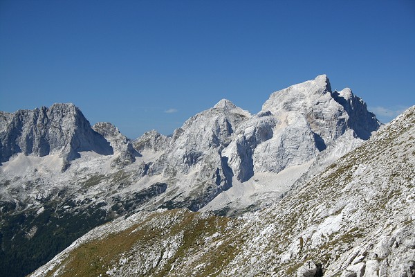 img00019.jpg