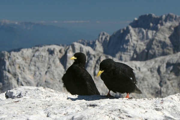 img00030.jpg