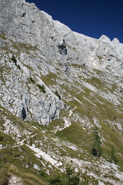 img00031.jpg