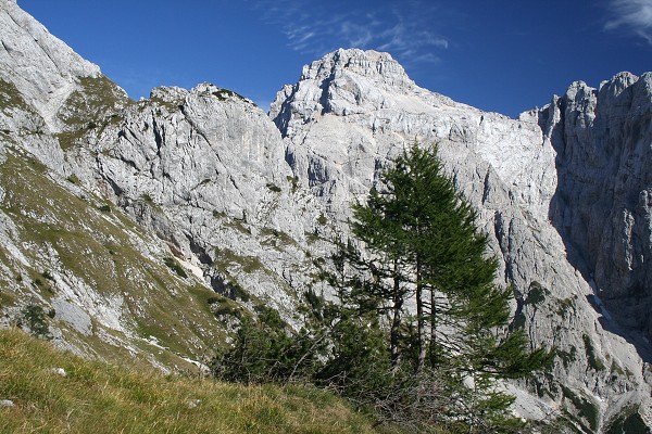 img00032.jpg