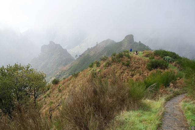 img00066.jpg