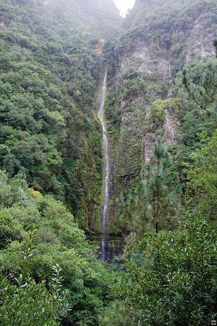 img00153.jpg