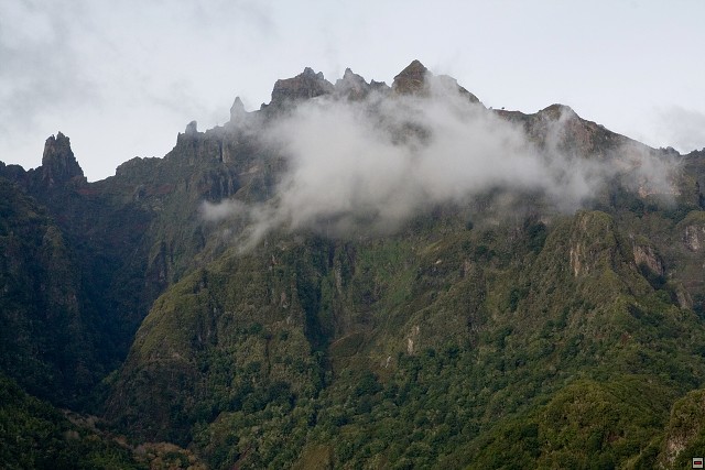 img00161.jpg