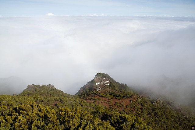 img00169.jpg