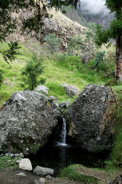 img00066.jpg