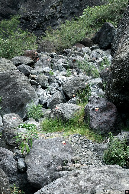 img00083.jpg