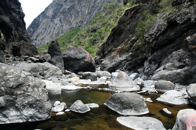 img00084.jpg