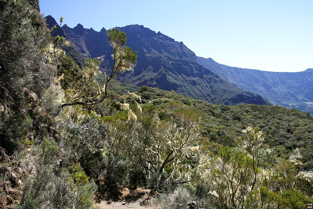 img00110.jpg