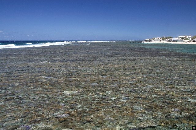 img00118.jpg