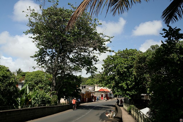 img00132.jpg