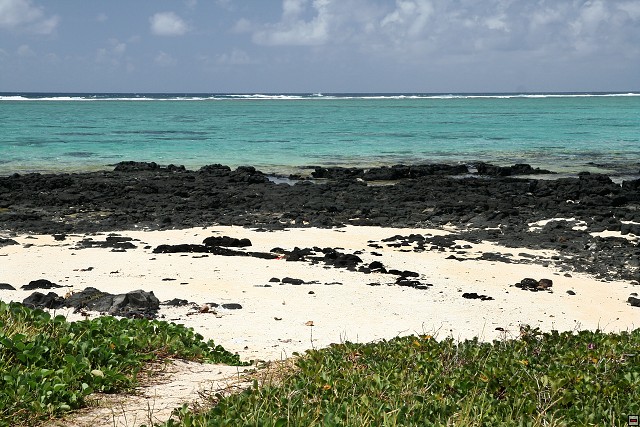 img00138.jpg