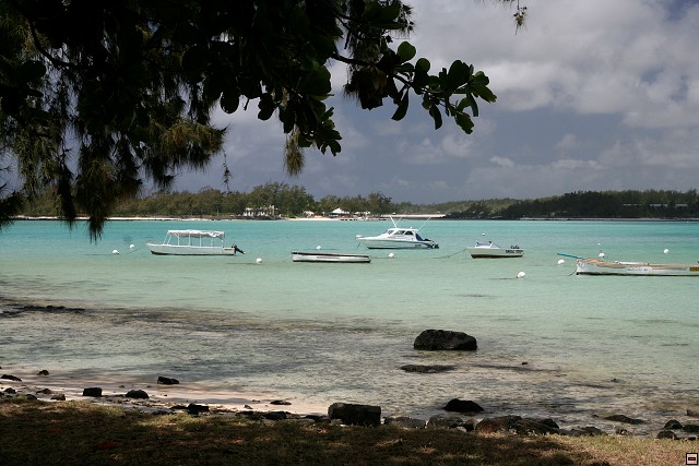 img00139.jpg