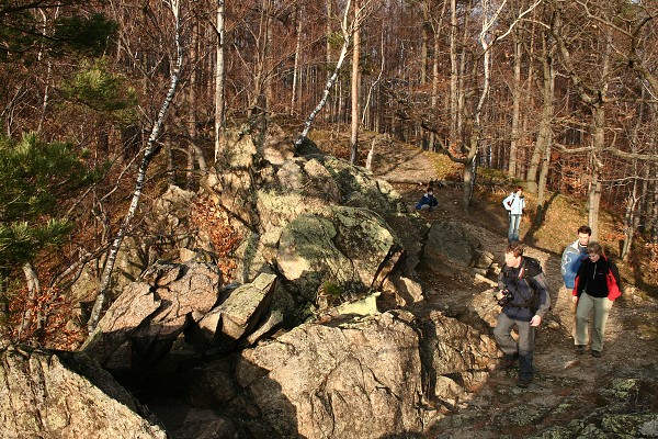 img00038.jpg