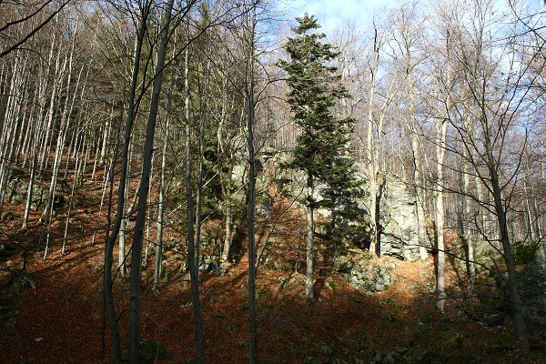 img00054.jpg