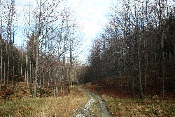 img00055.jpg