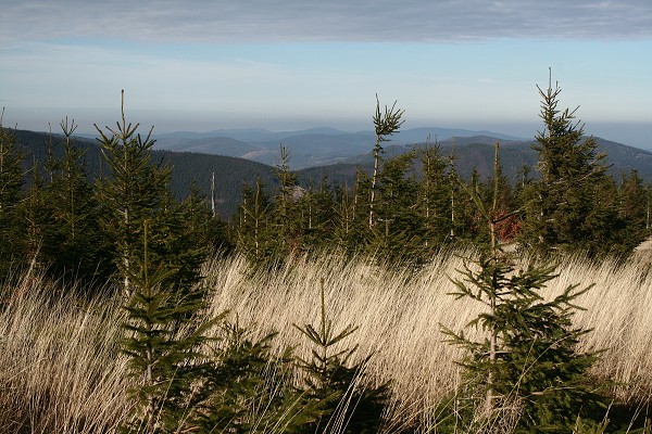 img00057.jpg