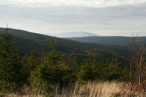 img00058.jpg
