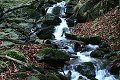 thn00053.jpg